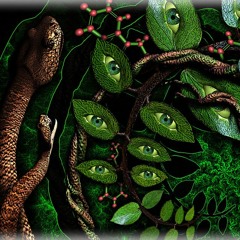 FOLLAKZOID