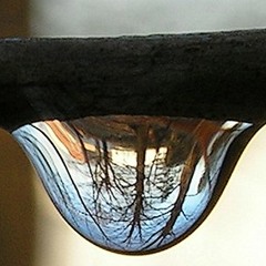 CAZARI (Vertical Phisical)