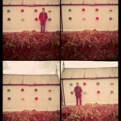 The Anderson Shelter