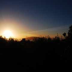Sunrise with my coffee