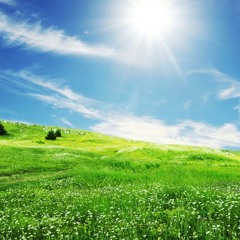 Where the Green Grass Grows