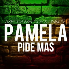 AxelDM & Dj Linnux - Pamela Pide Mas