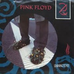 Pink Floyd - Live at Earls Court, Oct. 20th 1994 - Learning to Fly