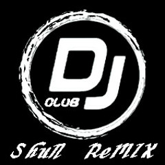 那英 2013 DJ ShuN Remix