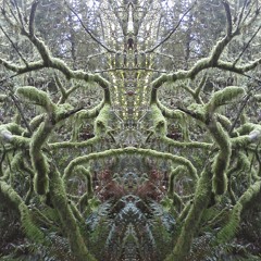 semantic noise [ free download ]