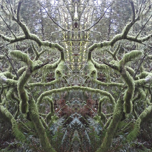 semantic noise [ free download ]