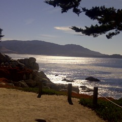 Mohammed's Radio (Warren Zevon Cover)