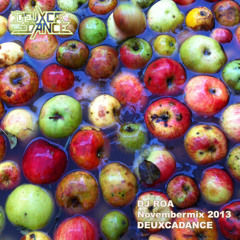 DJ ROA November2013