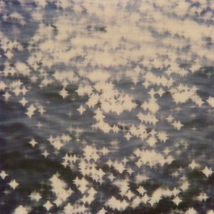 Cassie (Diepvries Edit)