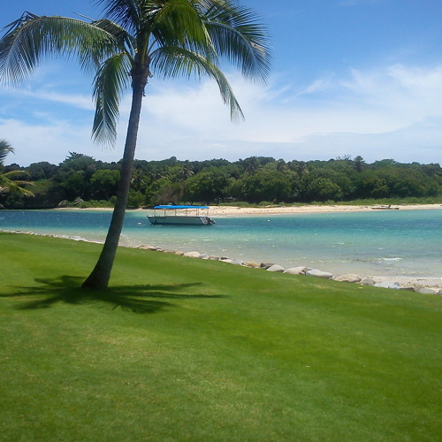 Buca Dravisiga - Fijian Sigidrigi