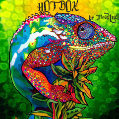 Chillout, Downtempo, Dub, Psychedelic