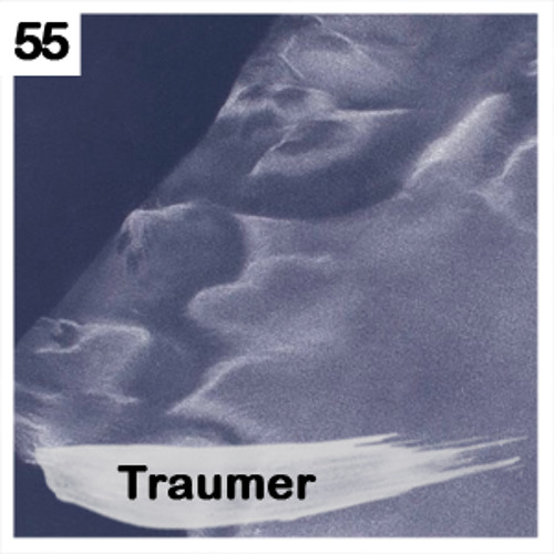 GOURU PODCAST - TRAUMER