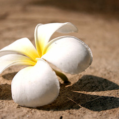 แสงและเงา Cover by ตุ๊กเมย์ Piano by ตองพี