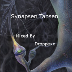 Synapsen Tapsen