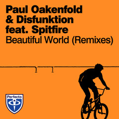 Paul Oakenfold & Disfunktion feat. Spitfire - Beautiful World (Yonathan Zvi Remix)