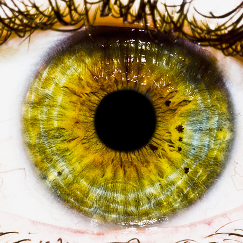 Mylene Farmer TIMEL3SS 2013