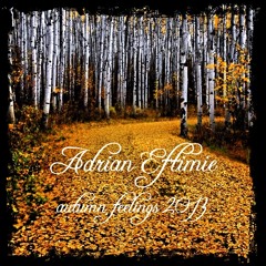 Adrian Eftimie - Autumn Feelings 2013