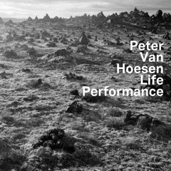 2. Peter Van Hoesen - Subjects From The Past