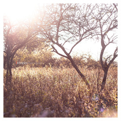 Reason - 가을동화 (OST)