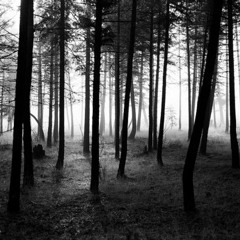 Juam-After Dark (ft.Sam Entity) Free Download