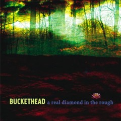 Buckethead A Real Diamond In The Rough