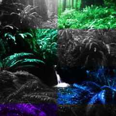 Dreamscape Nostalgia