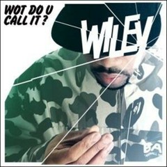 Wiley - Wot Do U Call It?