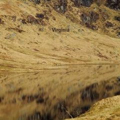 Virginia A2. "Shifter" Ostgut Ton