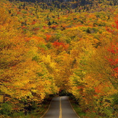 A Journey Into Sound 067