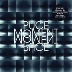 Puce Moment - (drive) Bruit Fantôme RMX