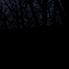 Turned a train into a chord @ 0:50