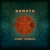 Artwork for Flame Of The Forest - Bombay Dub Orchestra