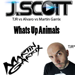 Whats Up Animals (TJR V. Lil Jon And Alvaro V. Martin Garrix)