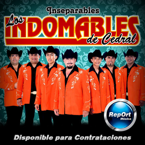 Los Indomables de Cedral Mix