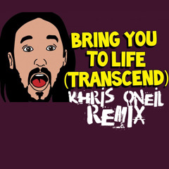 Bring You to Life (Khris ONeil Remix) – Steve Aoki & Rune RK
