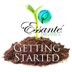 Getting Started 1st S.T.E.P. Training! 11-04-13