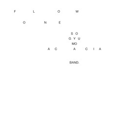Flow SOGYUMO ACACIA BAND