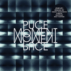 PUCE MOMENT "Drive" (ALMEEVA Remix)