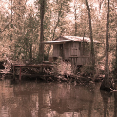 Steady Rollin' Man ( BLUESWAMP SOUTHERN)