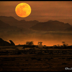 The Desert Moon