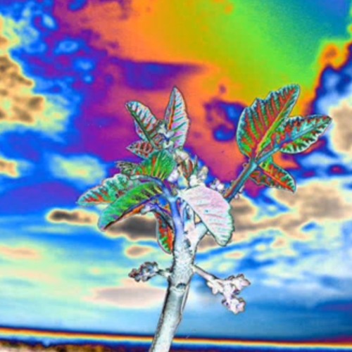 Deedrah - Reload (GMS Remix)