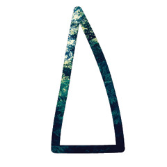 Teaser Jesse Ashfield