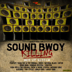 Sound Bwoy Killing - Mud Up Riddim (Fireball Records) - Megamix - 2013