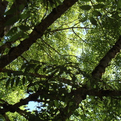 El Resto del Viajero