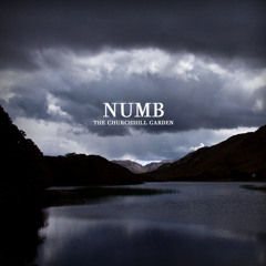 NUMB