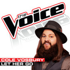 Cole Vosbury - Let Her Go (The Voice - Studio Version)