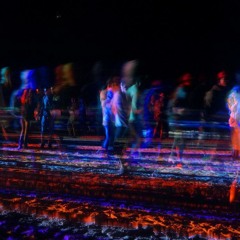 A.N.A.L. @ It´s A Fucking Birthday