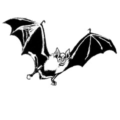 Symphonie Für Den Träumer: 3. Geheimbund Der Fledermäuse