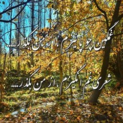 غمگین چو پائیزم