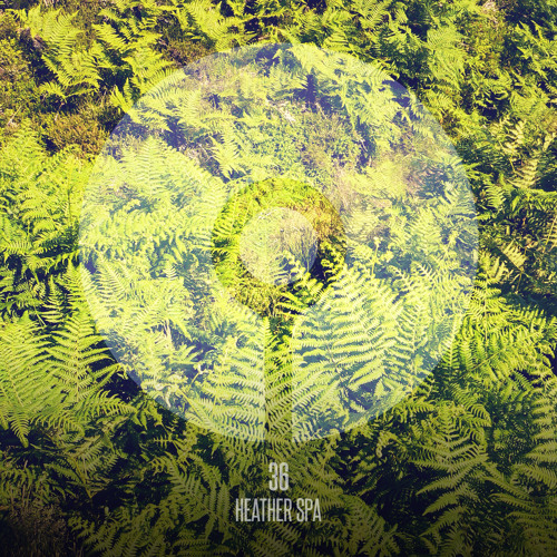 ASIP028 36 - Heather Spa (Burning)